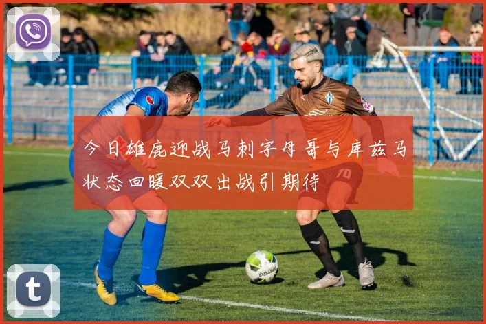 今日雄鹿迎战马刺字母哥与库兹马状态回暖双双出战引期待