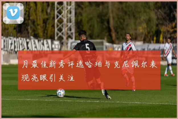 月最佳新秀评选哈珀与克尼佩尔表现亮眼引关注