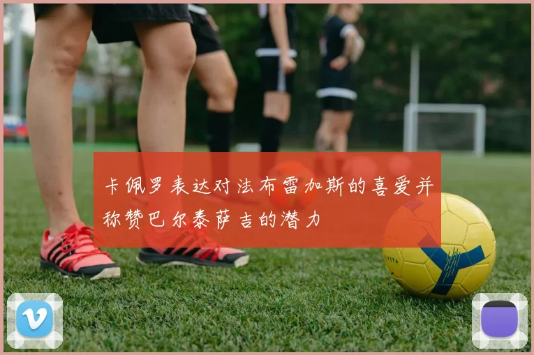 卡佩罗表达对法布雷加斯的喜爱并称赞巴尔泰萨吉的潜力