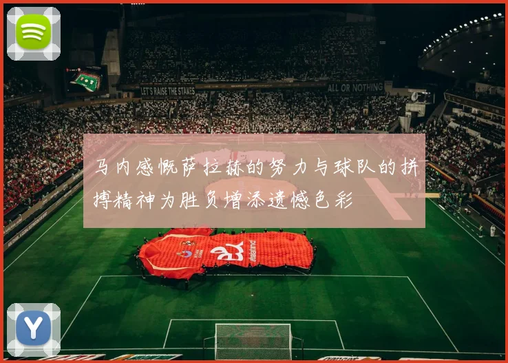 马内感慨萨拉赫的努力与球队的拼搏精神为胜负增添遗憾色彩