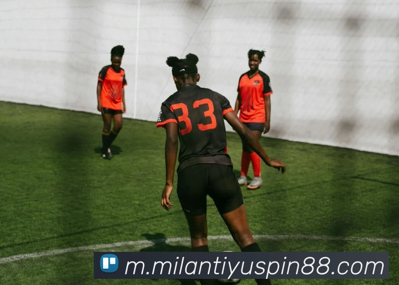 米兰体育平台生态图