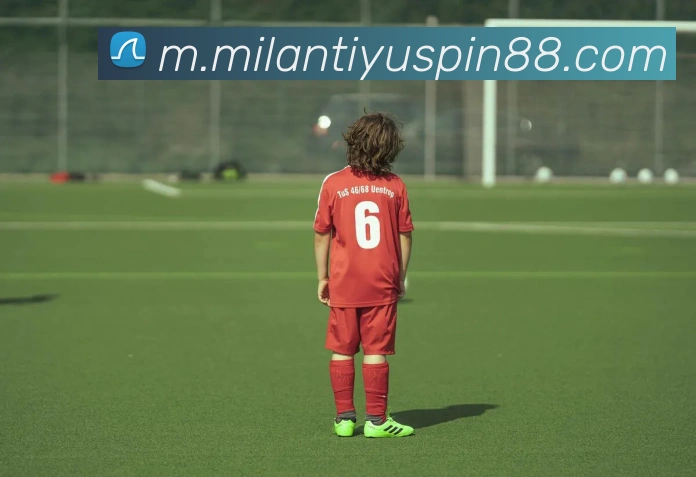 米兰体育APP 封面图