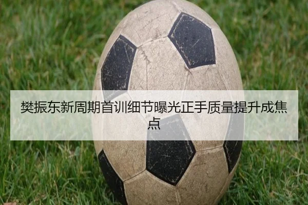 樊振东新周期首训细节曝光正手质量提升成焦点 - MILANSPORT